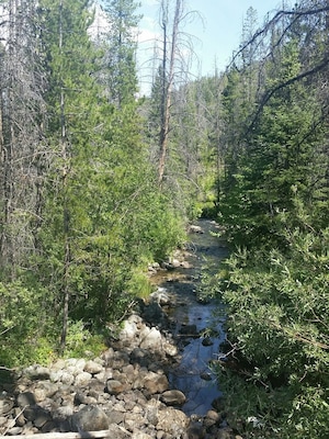 A quick trip up to the trailhead to twin lakes. Gorgeous Country...with a lot of beetle kill.