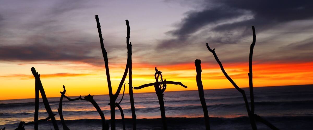 A sunset over the ocean with silhouetted trees and rocks.