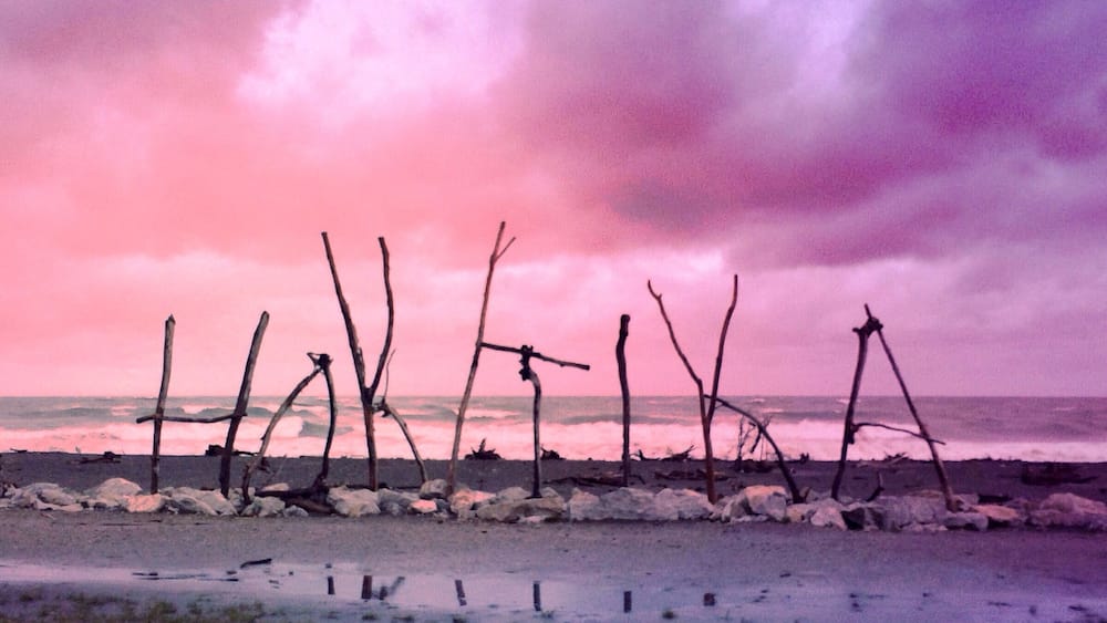 A beach with driftwood and rocks under a pink sky.