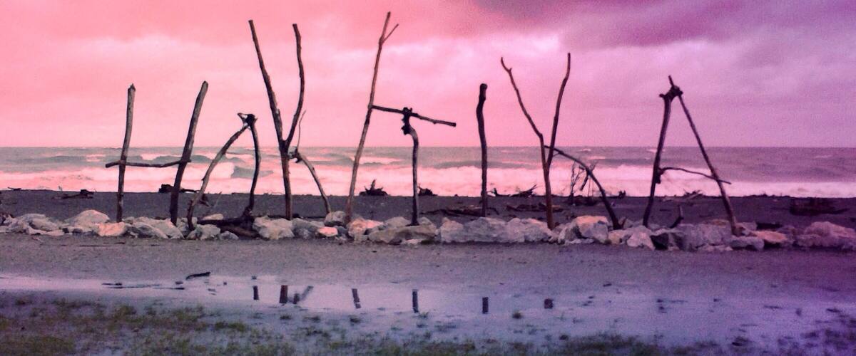 A beach with driftwood and rocks under a pink sky.