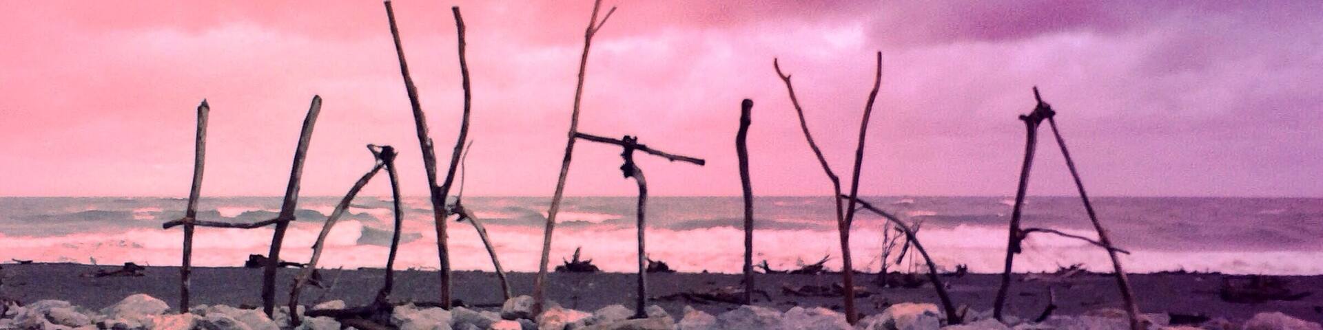 A beach with driftwood and rocks under a pink sky.