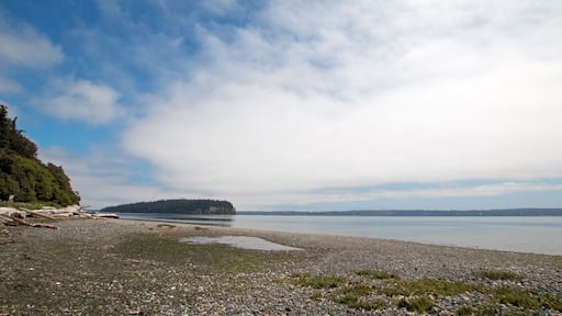 Shine Tidelands State Park shoreline of Bywater Bay near Port Ludlow in the Puget Sound in Washington State United States