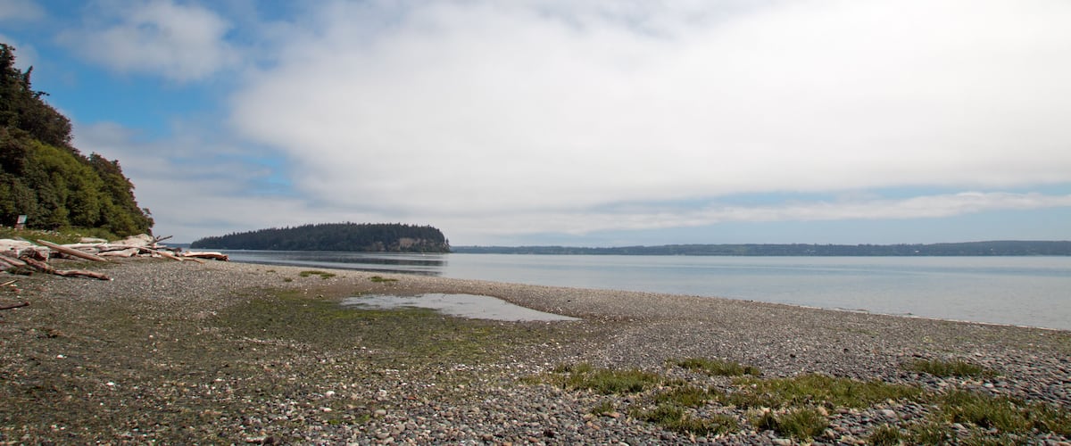 A pebbly beach with driftwood, a calm lake, and a forested island in the distance.