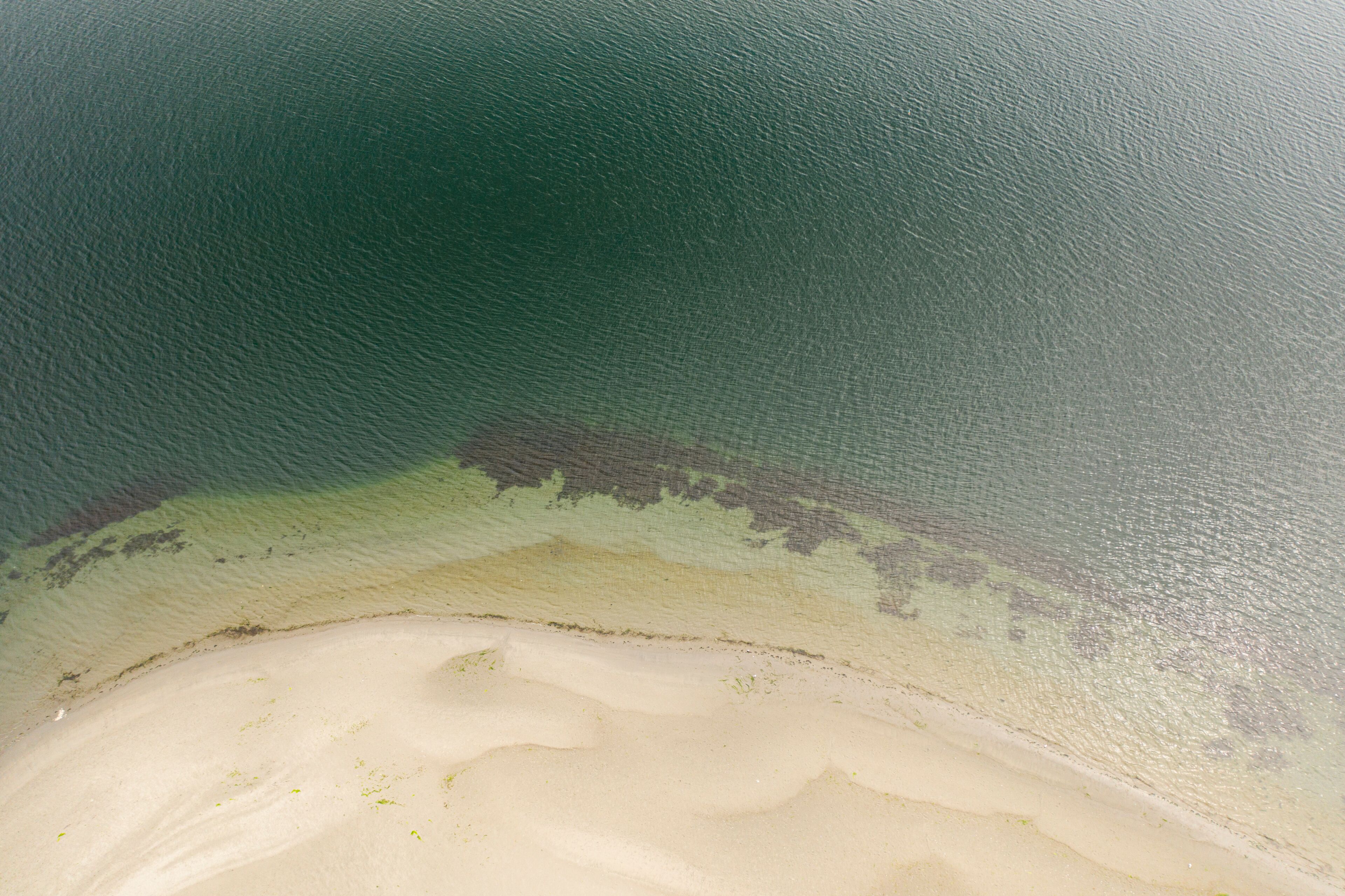 Sand and Green Water Top Down Aerial Above View Ocean Background Kala Point Port Townsend Washington USa