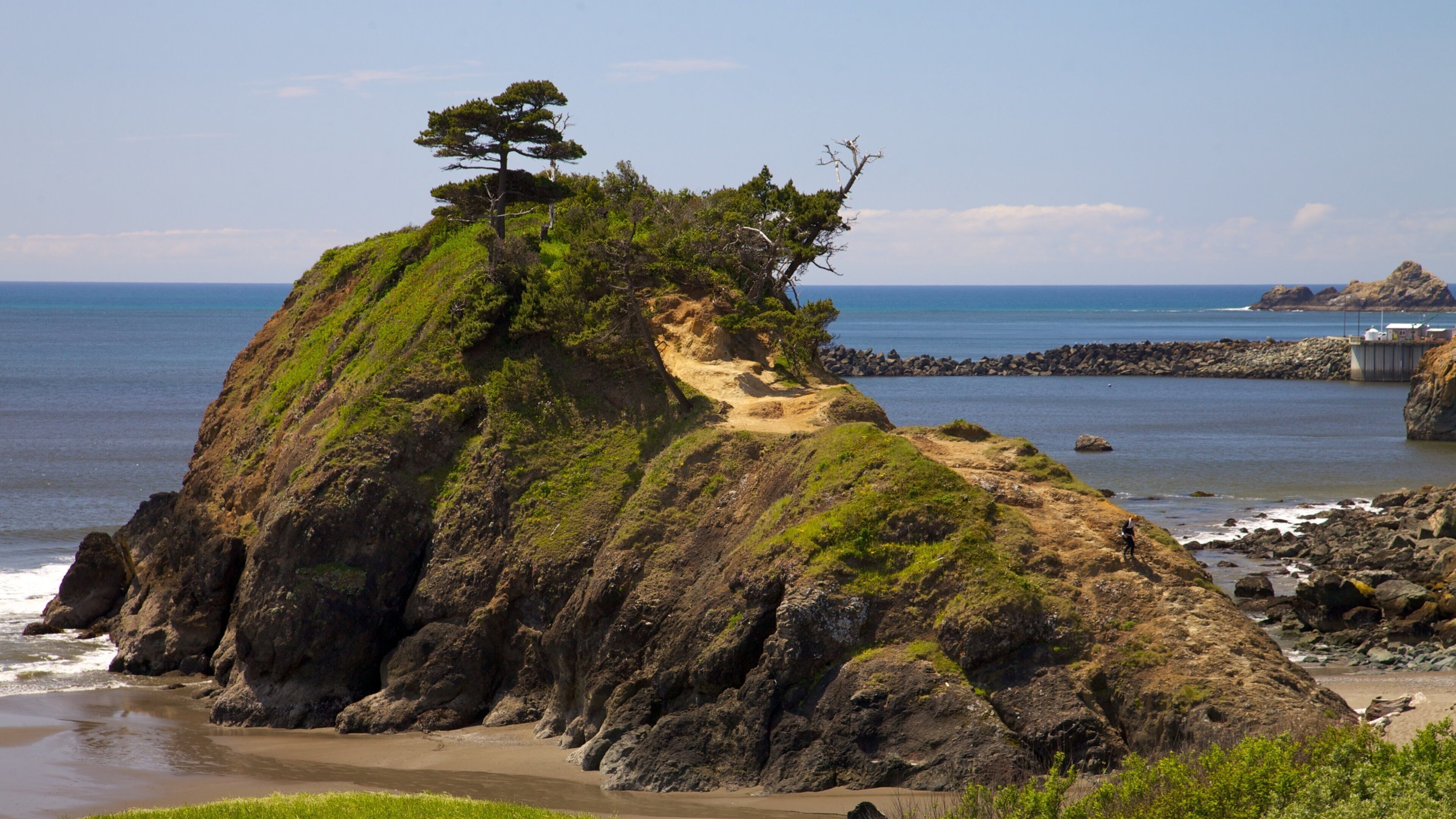 Port Orford which includes landscape views, rocky coastline and a pebble beach