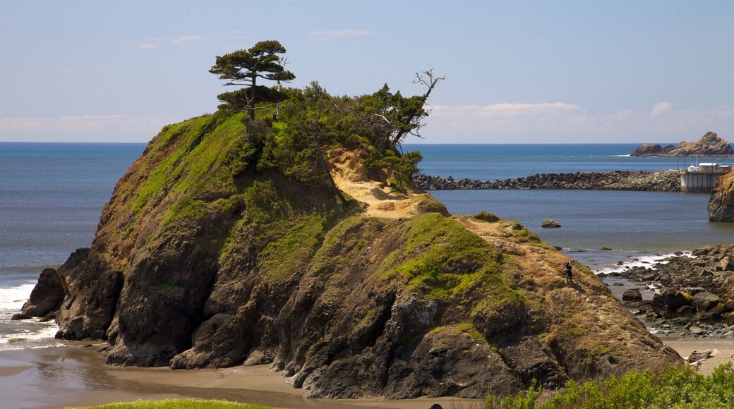 Port Orford which includes landscape views, rocky coastline and a pebble beach