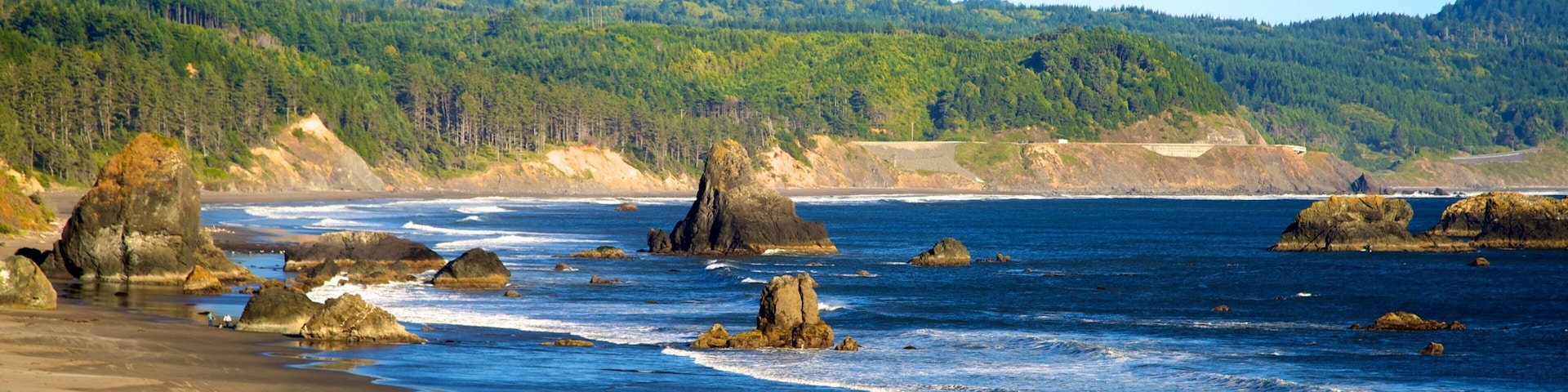 Port Orford mostrando uma praia de areia