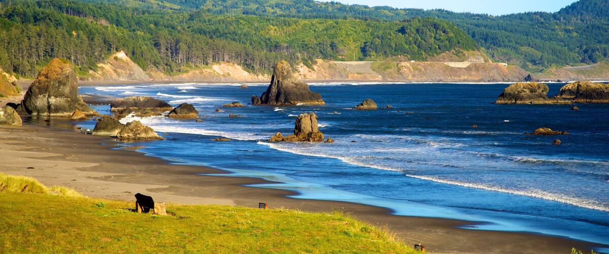 A coastal landscape with a sandy beach, rocky outcrops, and a forested hillside.
