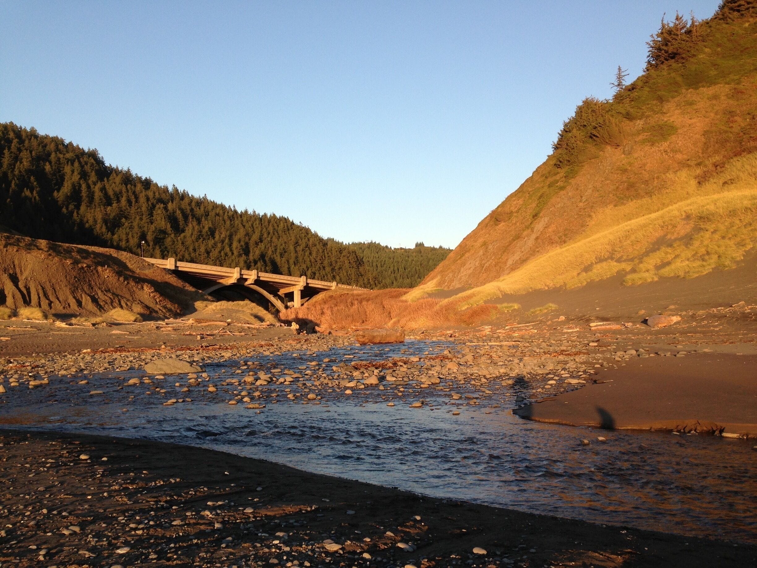 Beautiful Oregon Coast state park. Camping, too. 
