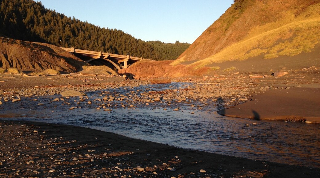 Beautiful Oregon Coast state park. Camping, too.