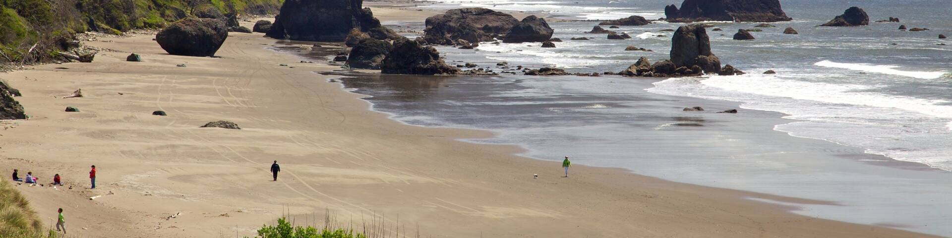 Port Orford presenterar en strand, landskap och kustutsikter