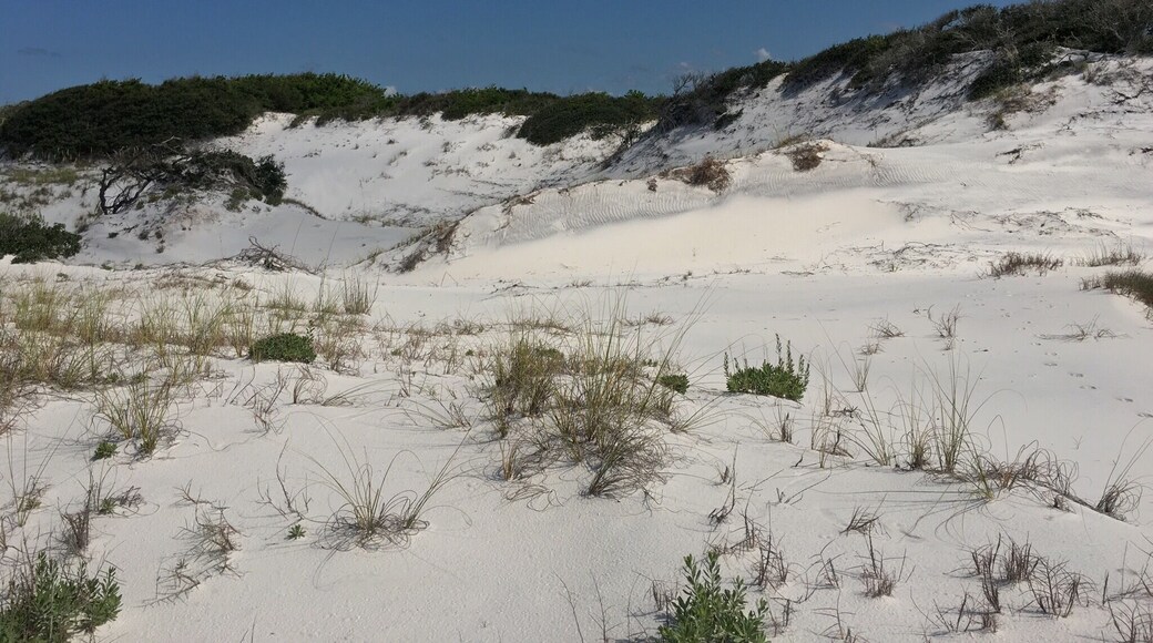 The sand is so white it almost looks like fresh powder.