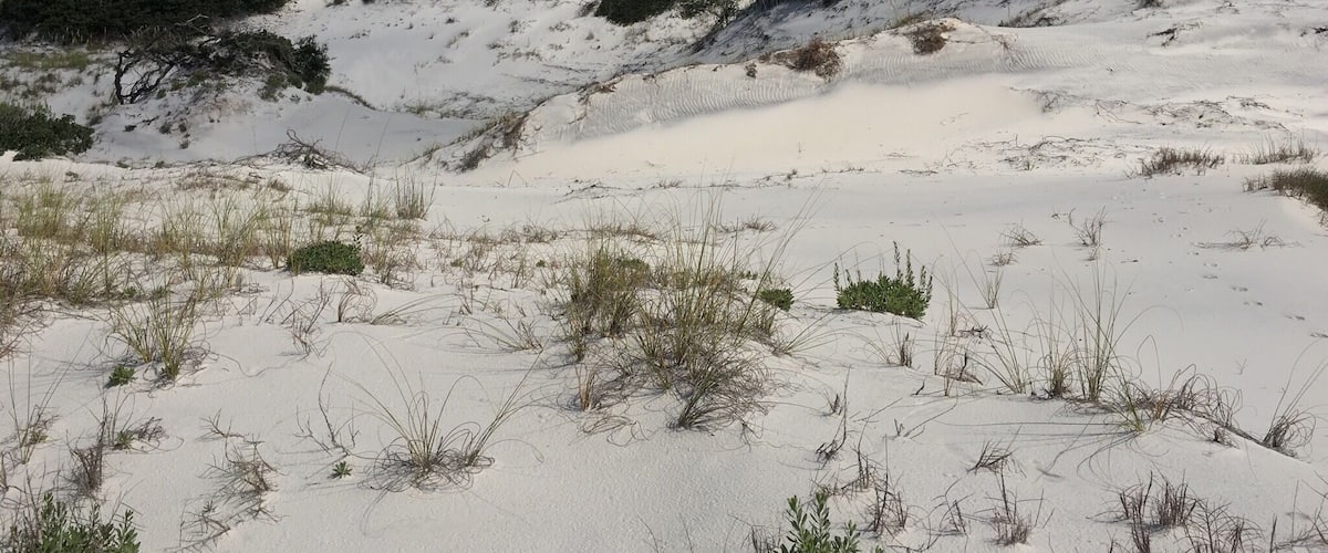 The sand is so white it almost looks like fresh powder.