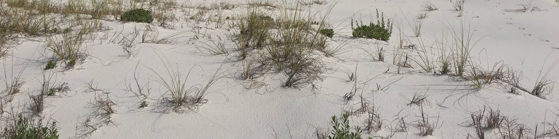 The sand is so white it almost looks like fresh powder.