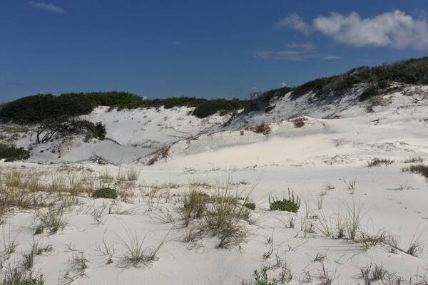 The sand is so white it almost looks like fresh powder.