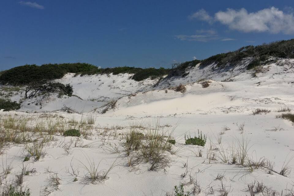 Ett sandigt landskap med gles vegetation och en klarblå himmel.