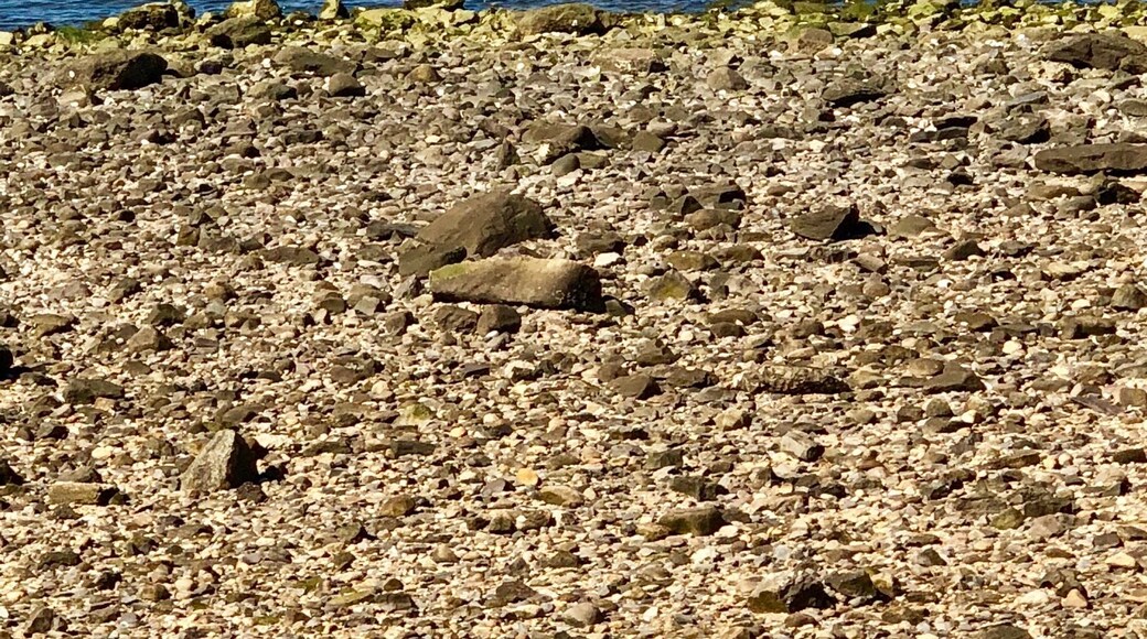 The beach in the early spring #trove on