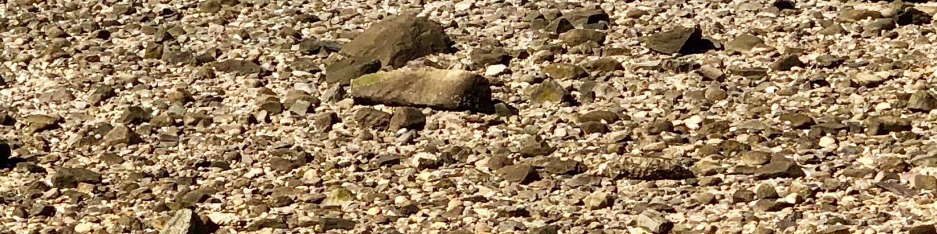 The beach in the early spring #trove on