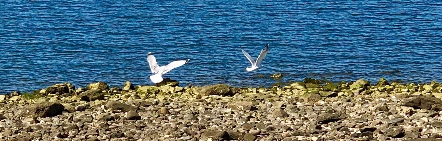 The beach in the early spring #trove on