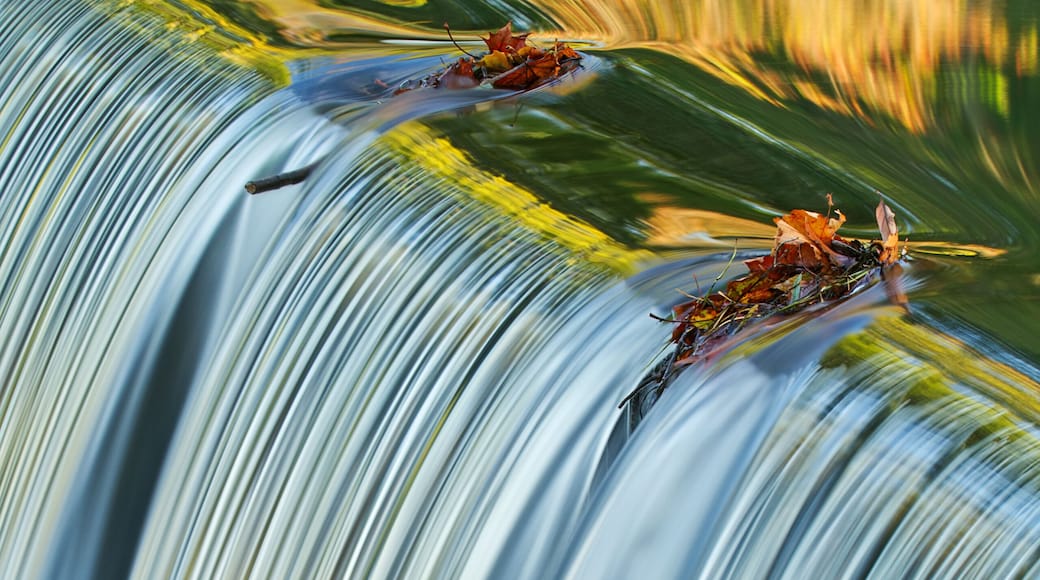 Portage Creek Cascade captured with motion blur and illuminated by reflected color from sunlit autumn trees at sunrise, Milham Park, Michigan, USA