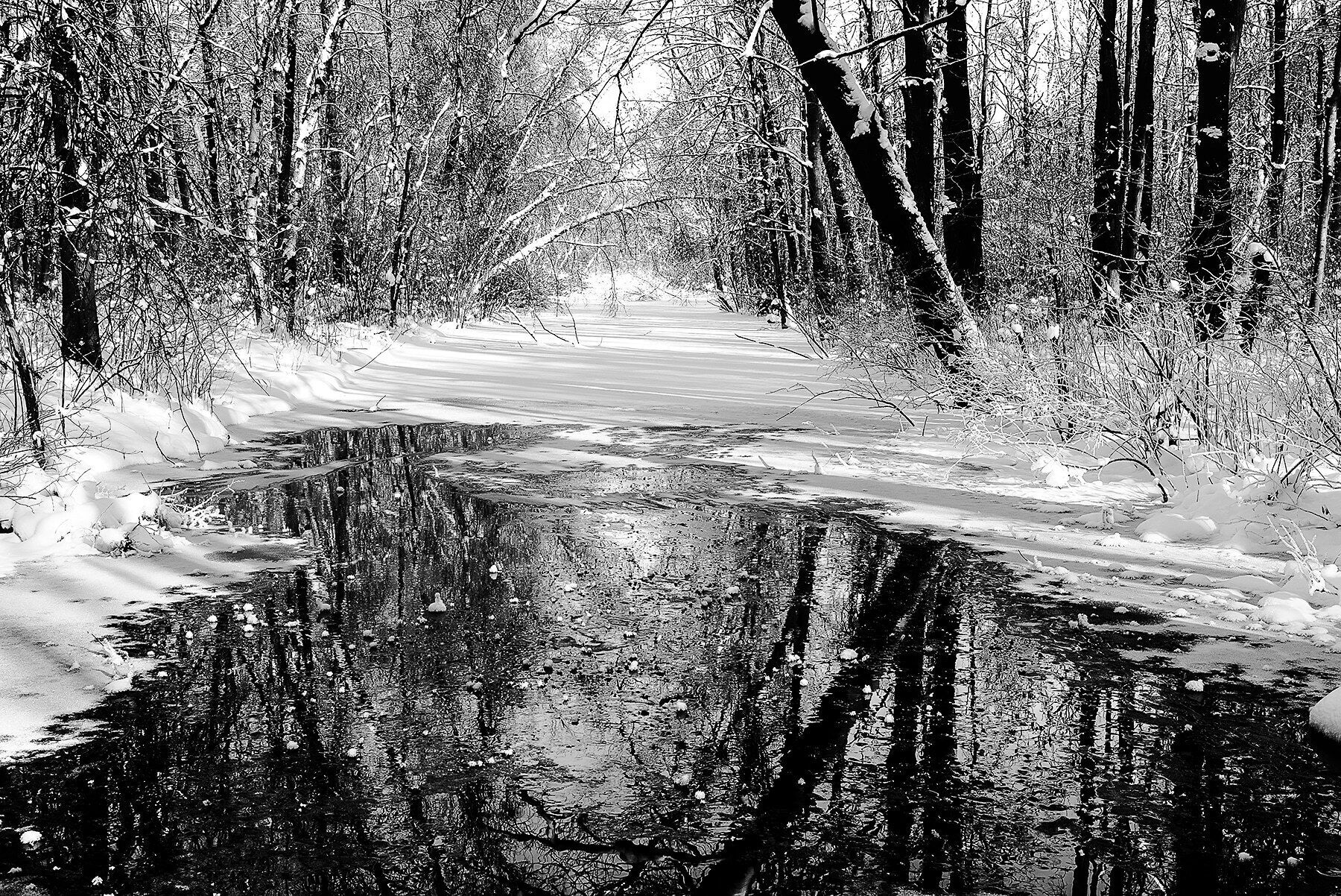 Portage Creek in Schrier Park.