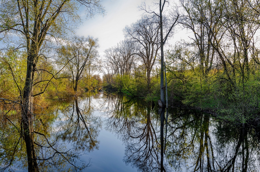 642-95 Portage River in Evening Light