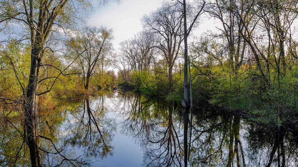 A calm river reflecting trees and sky.