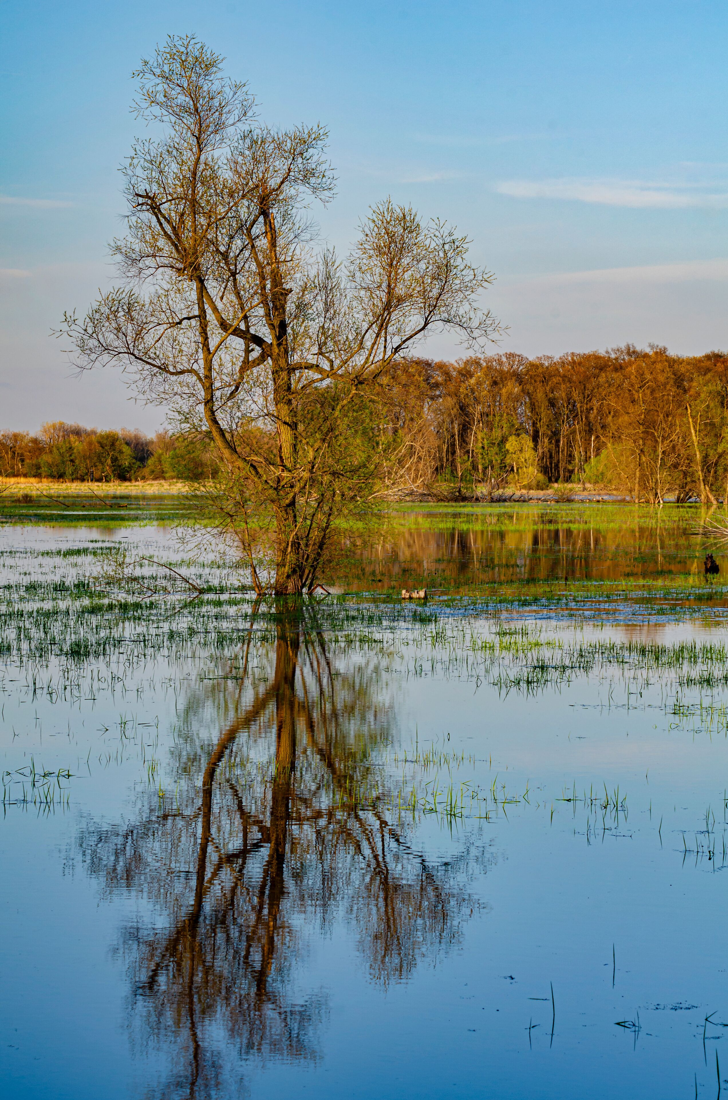 643-11 Spring Flood - Portage River