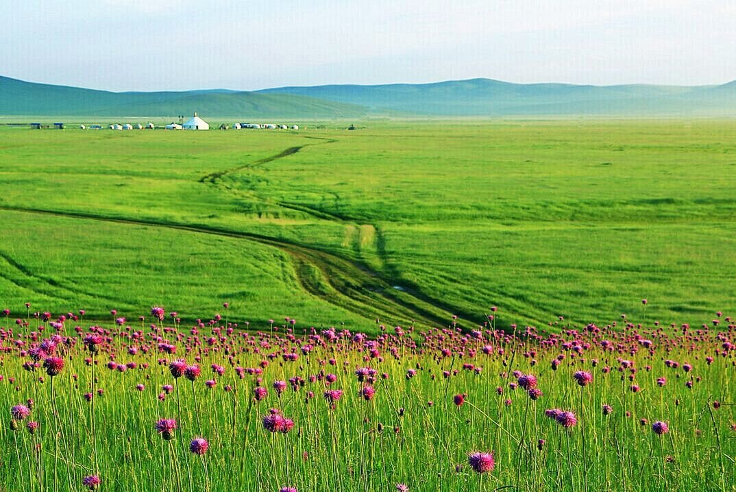 The travel just like in the dream,beautiful #Hulunbuir Grassland in the Inner Mongolia of China.

https://twitter.com/Beautifulgx 