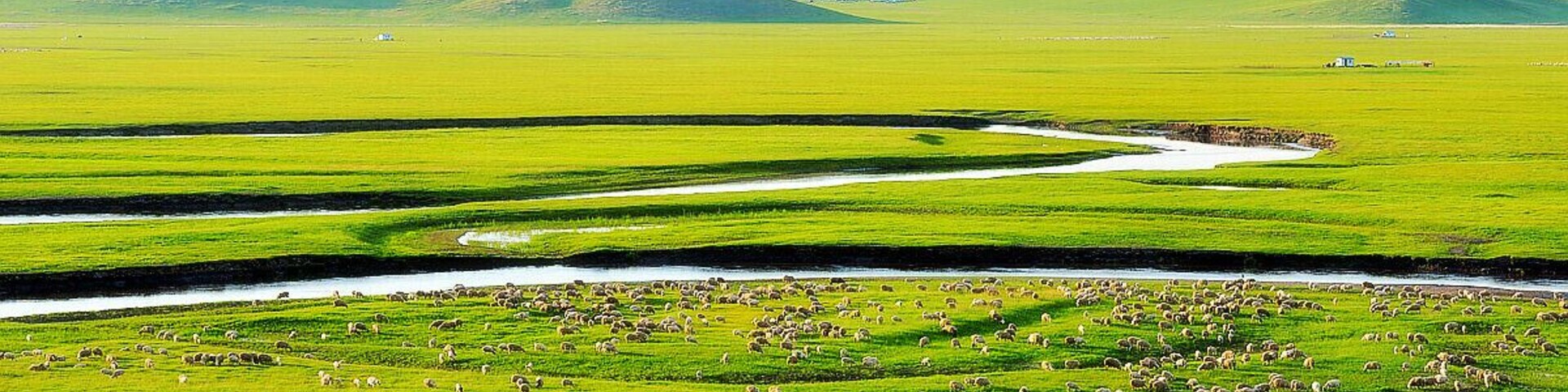 Beautiful #Hulun Buir Grassland.
#呼伦贝尔草原
https://twitter.com/Beautifulgx