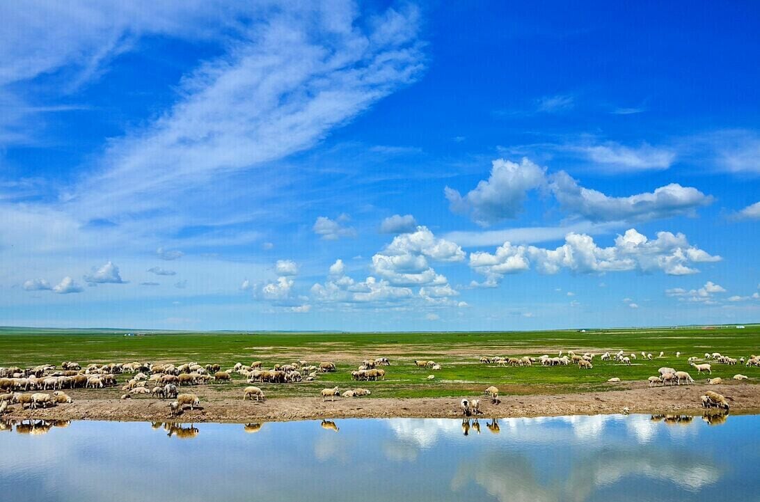The travel just like in the dream,beautiful #Hulunbuir Grassland in the Inner Mongolia of China.

https://twitter.com/Beautifulgx 