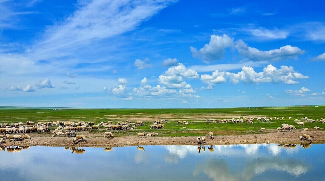 The travel just like in the dream,beautiful #Hulunbuir Grassland in the Inner Mongolia of China.
https://twitter.com/Beautifulgx