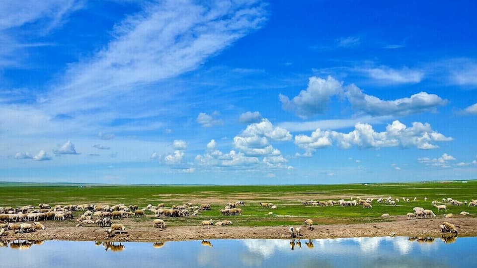 The travel just like in the dream,beautiful #Hulunbuir Grassland in the Inner Mongolia of China.
https://twitter.com/Beautifulgx