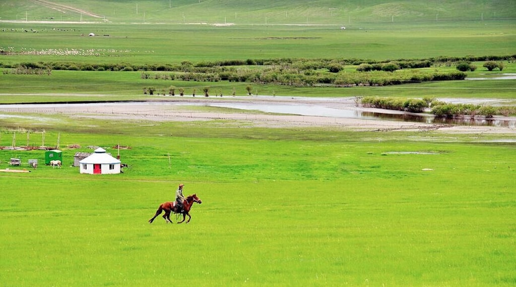 Beautiful #Hulun Buir Grassland.
#呼伦贝尔草原
https://twitter.com/Beautifulgx