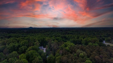 Paisagem arborizada com uma casa e uma montanha ao longe sob um céu colorido.