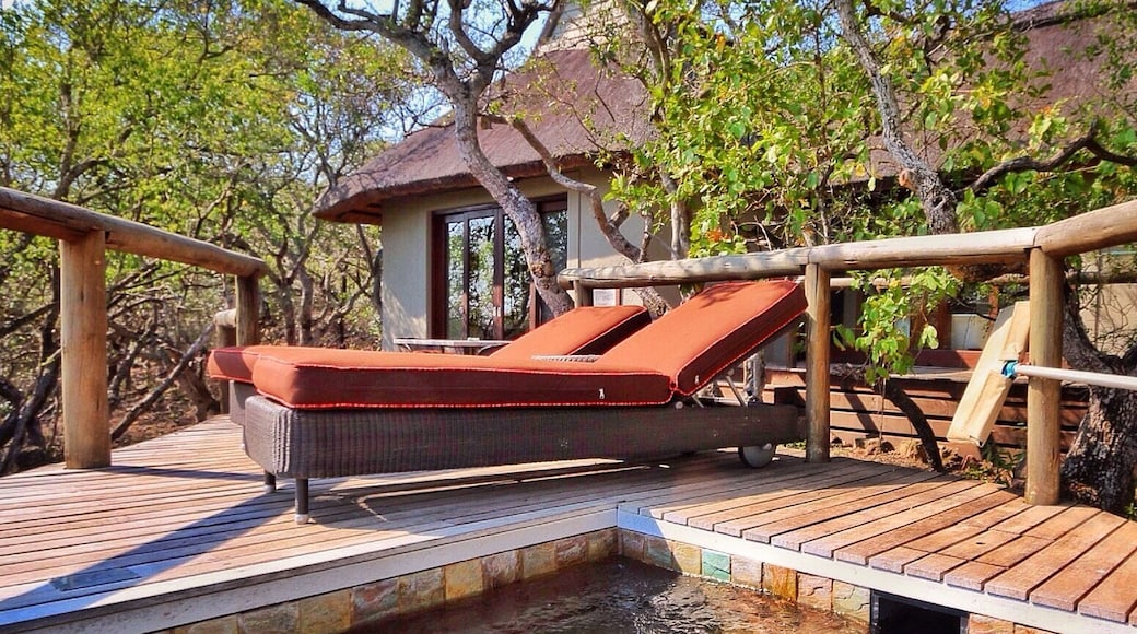 Phinda Mountain Lodge is an amazing big game reserve where you can see the big 5. The And Beyond luxury villas all have their own plunge pools too!