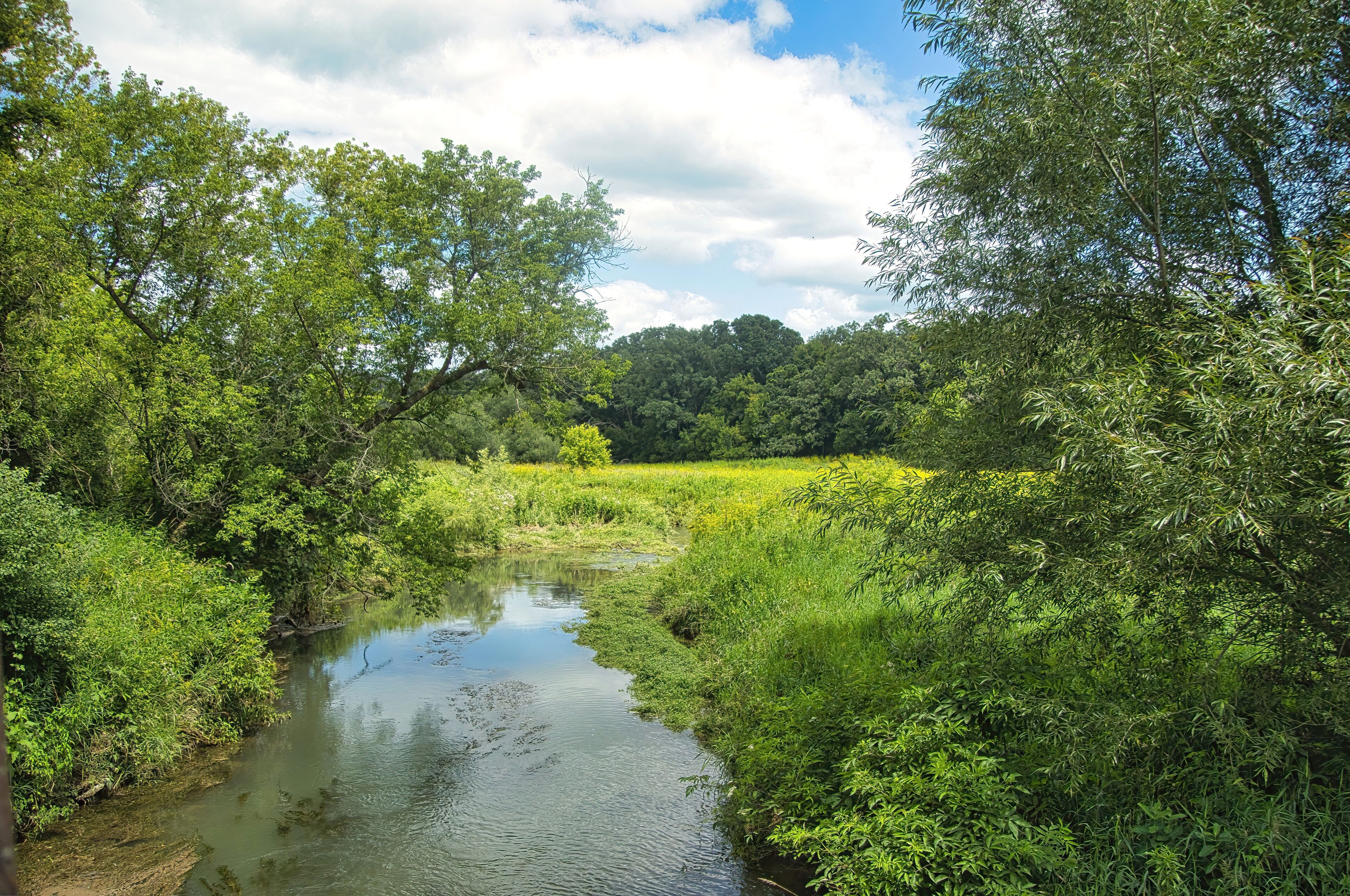 Sunny Summer day landscape of a peaceful stream flowing into a lush marsh and forest along the Root River and Harmony-Preston Valley Trails near Preston, Minnesota.