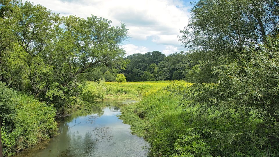 Sunny Summer day landscape of a peaceful stream flowing into a lush marsh and forest along the Root River and Harmony-Preston Valley Trails near Preston, Minnesota.