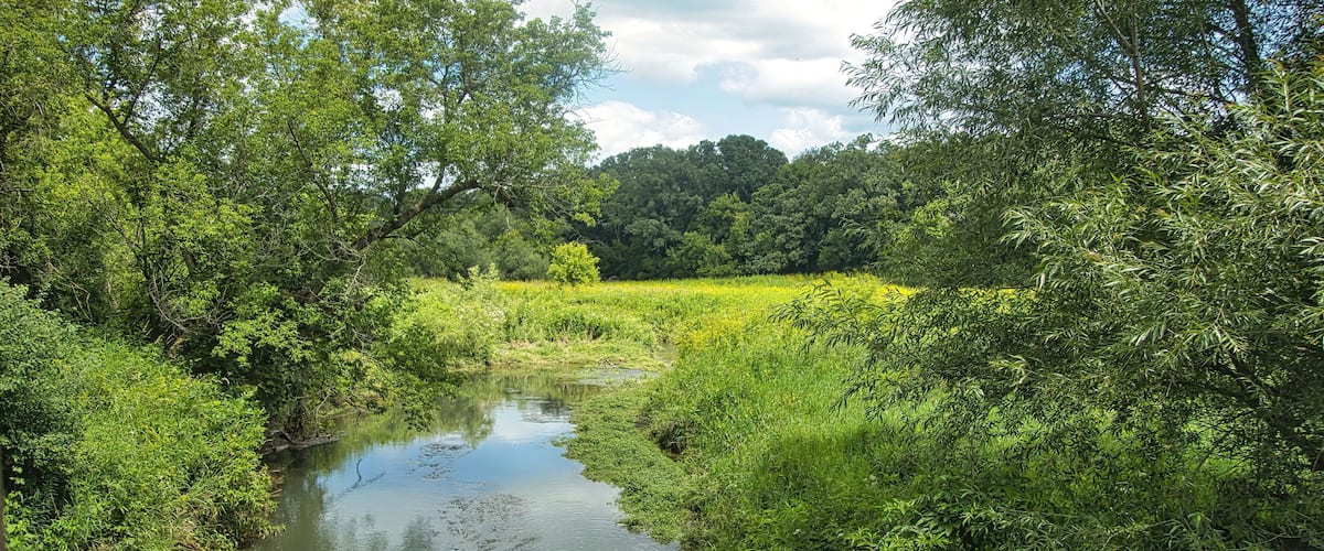 Sunny Summer day landscape of a peaceful stream flowing into a lush marsh and forest along the Root River and Harmony-Preston Valley Trails near Preston, Minnesota.