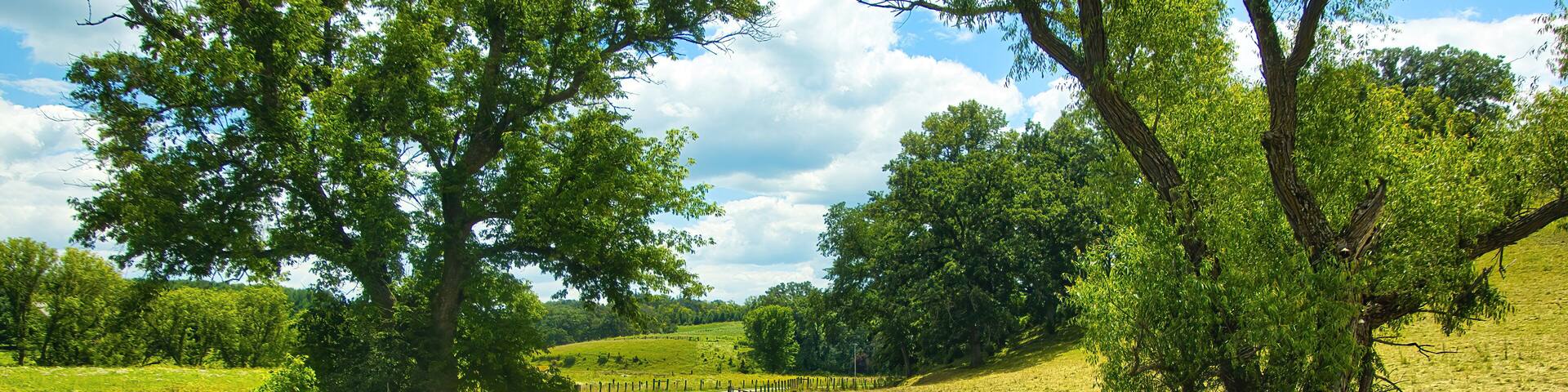 A rural road winding through a green landscape with trees and a fence.