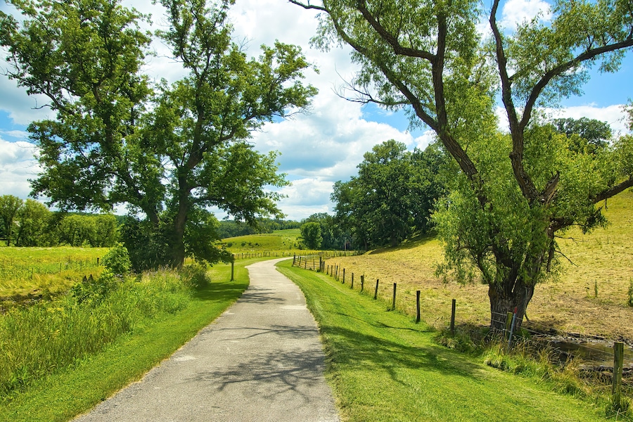 A rural road winding through a green landscape with trees and a fence.