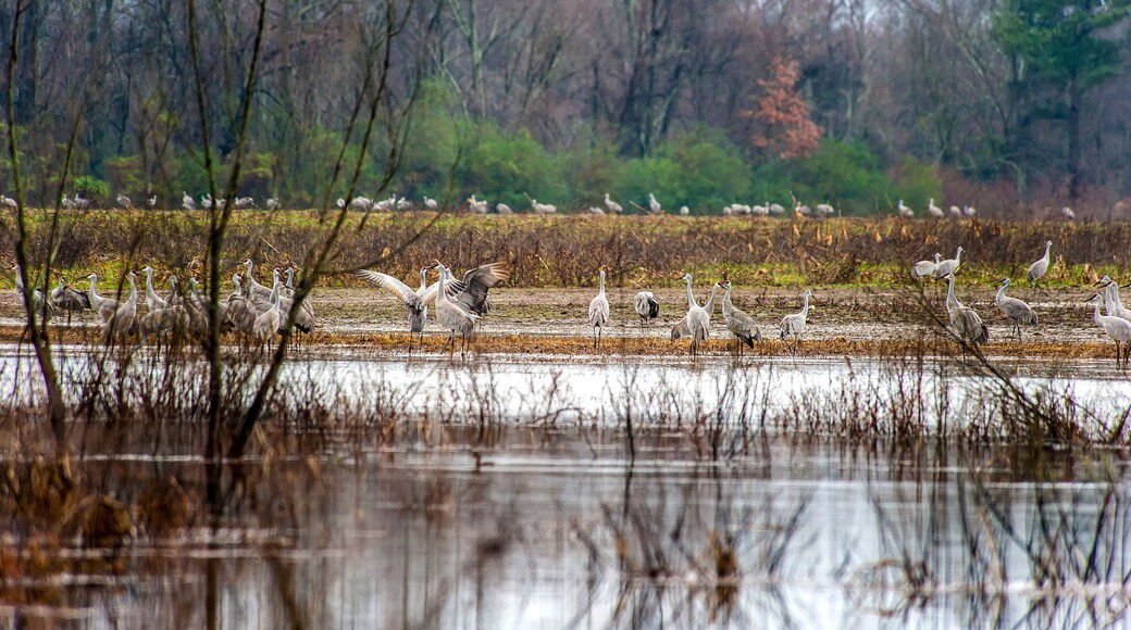 ํ๋ผ์ด์ค๋น