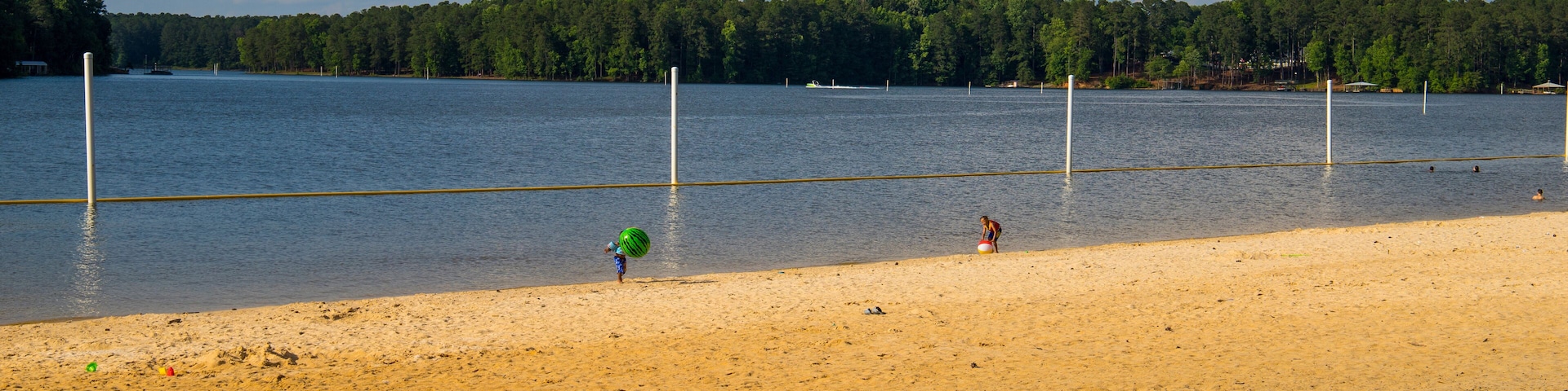 Una playa arenosa con un lago tranquilo, rodeada de un bosque denso.