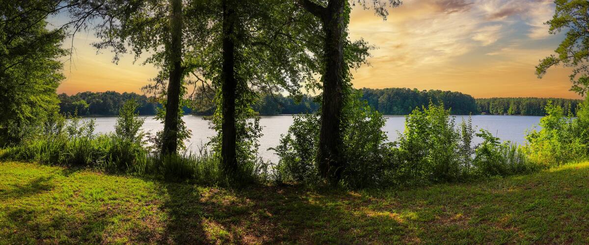 A lake surrounded by trees and grassy areas.