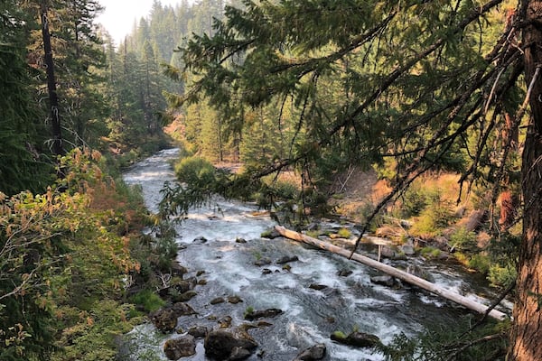 Lots of photo opportunities along this short walk.