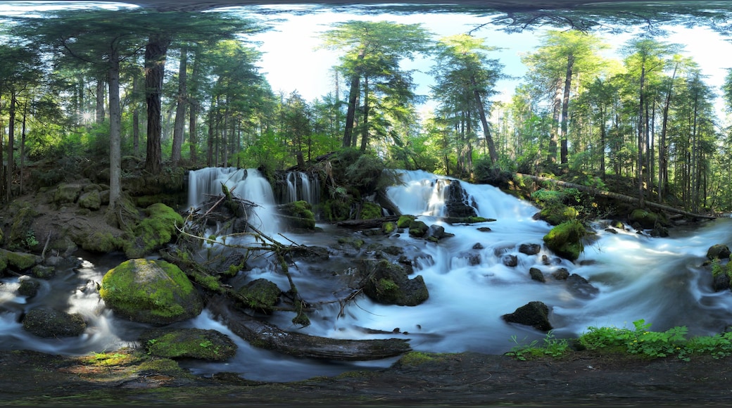 Pearsoney Falls, Prospect, OR, USA