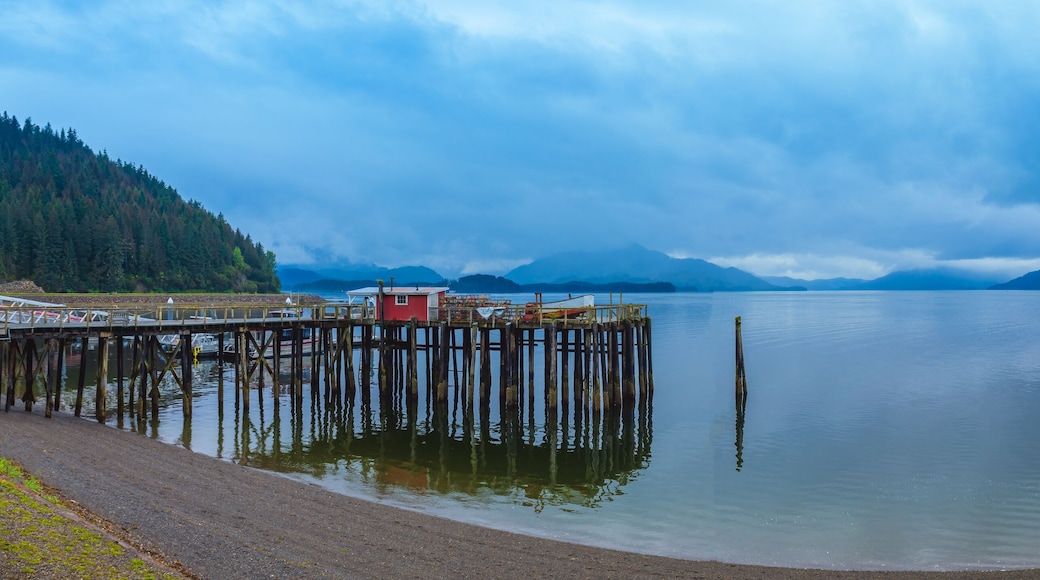 Alaska Cruise, Scenic Alaskan Lake in Hoonah, Breathtaking Nature Landscape panorama.