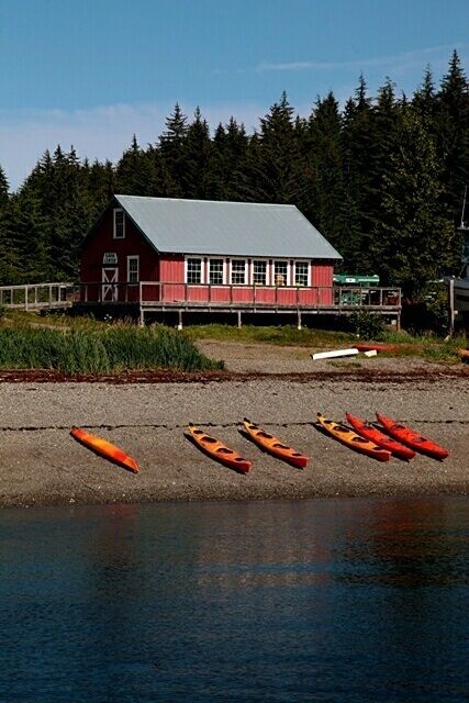 This tiny abode is home to 700 people. A town, a village whatver you may call it, here is where you experience a world outside your own. The Alaskan summer offers an ideal kayak experience. 

#Alaska #cruiseport #kayaking #Hoonah #mustsee #alaskatrip #alaskansummer 
