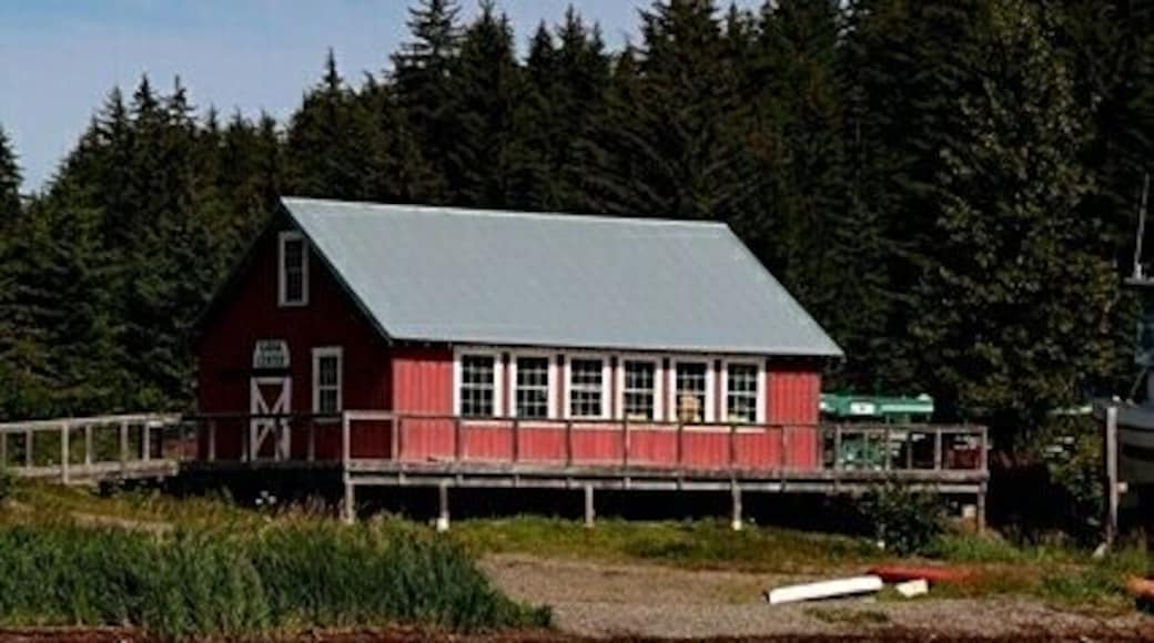This tiny abode is home to 700 people. A town, a village whatver you may call it, here is where you experience a world outside your own. The Alaskan summer offers an ideal kayak experience.
#Alaska #cruiseport #kayaking #Hoonah #mustsee #alaskatrip #alaskansummer