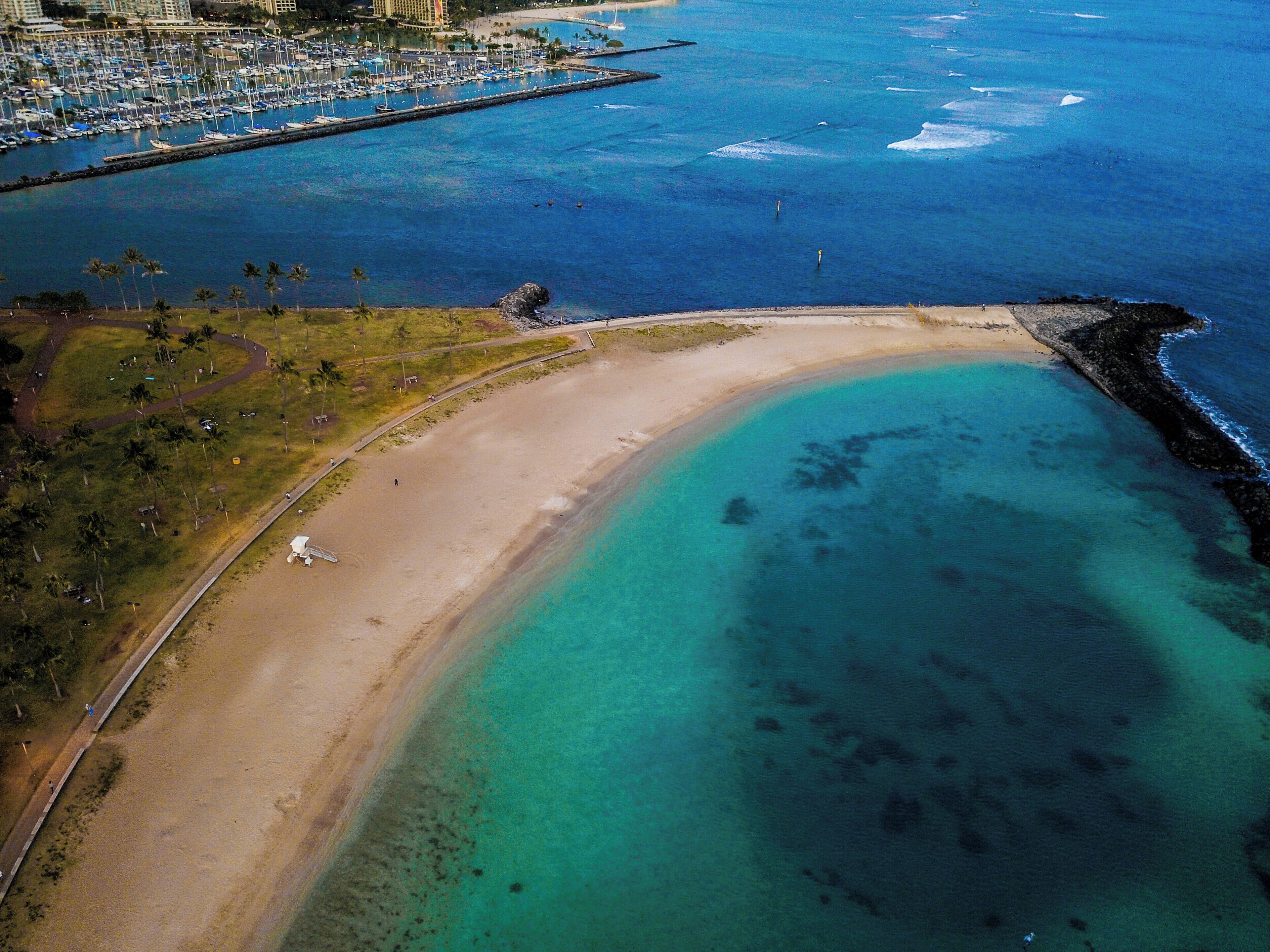 I guess you could say this place is... Magic-al... 😁🌴🌈 #beachtips #llifeatexpedia